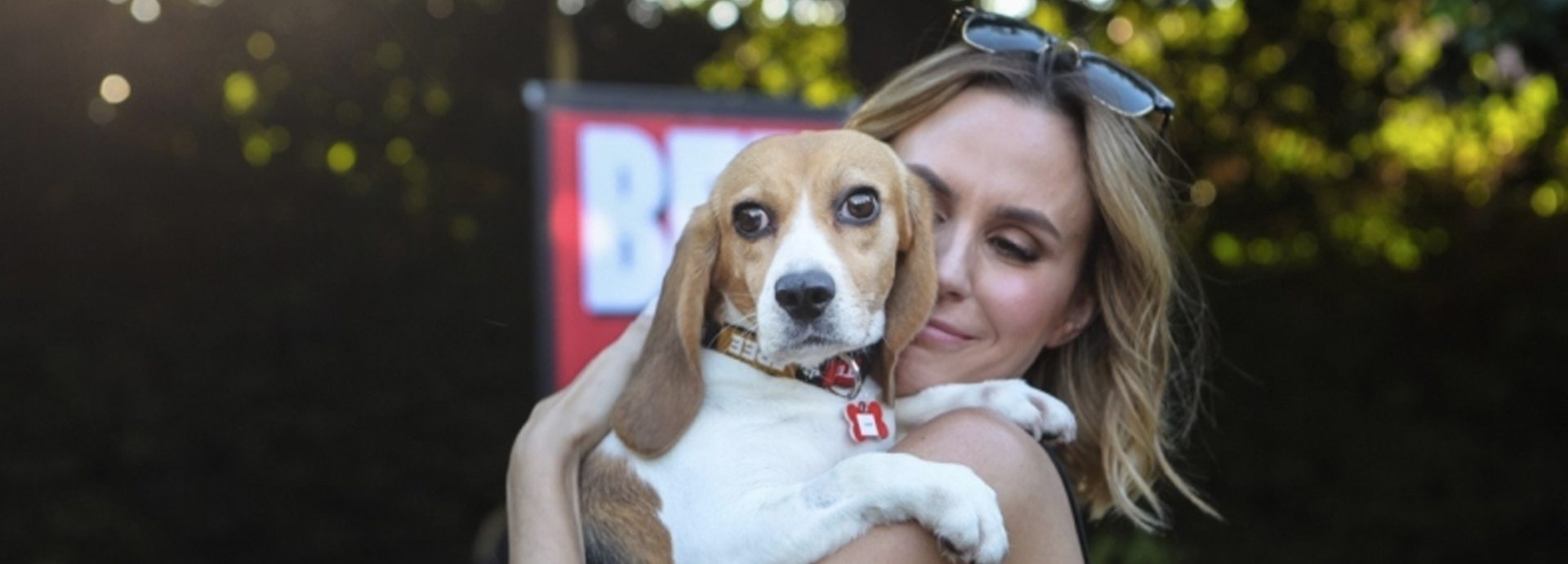 The 'LA Love' Rescue! – Beagle Freedom Project