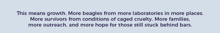 Beagle Freedom Project