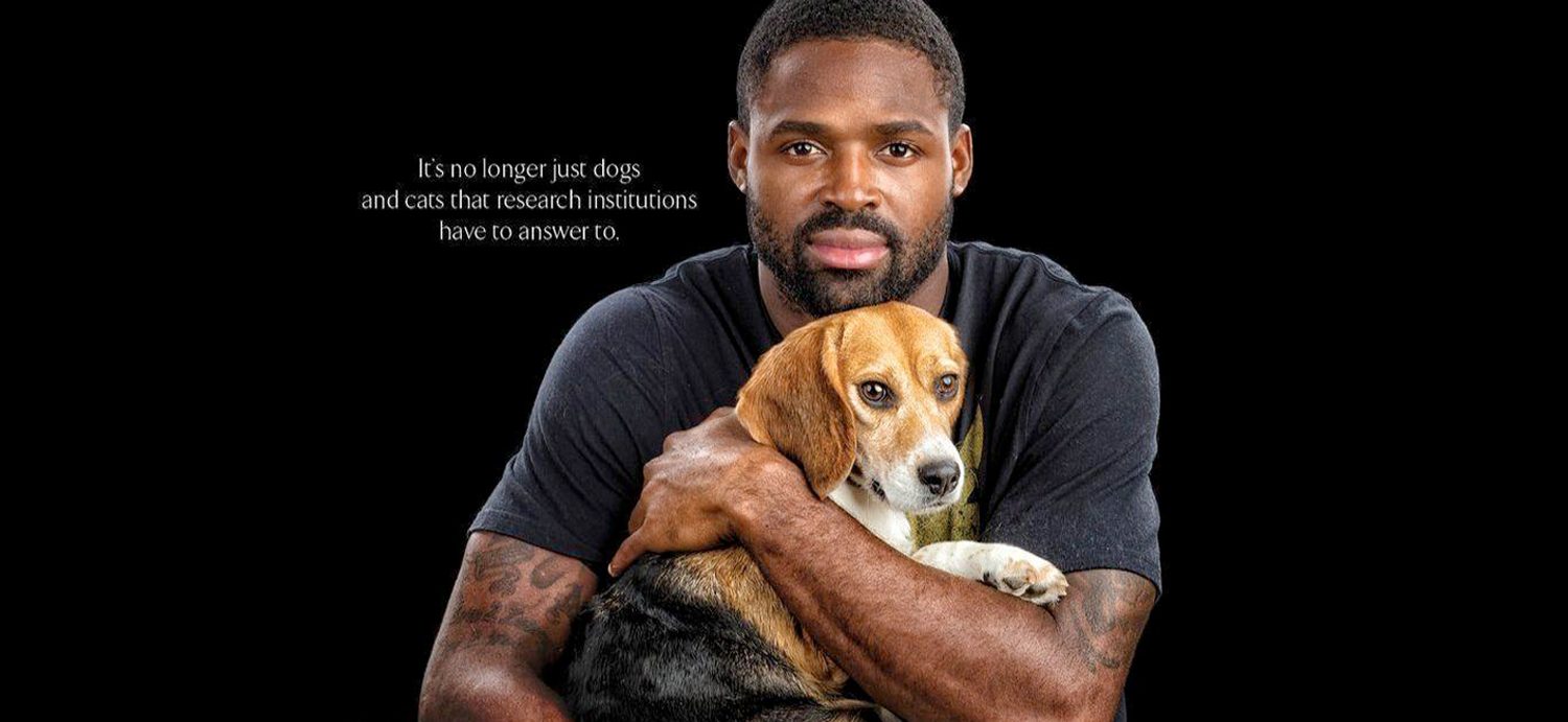 Eagles and beagles: Super Bowl champ Torrey Smith featured in billboard in support of 'Beagle Bill'