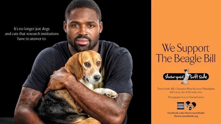 Eagles and beagles: Super Bowl champ Torrey Smith featured in billboard in  support of 'Beagle Bill' – Beagle Freedom Project