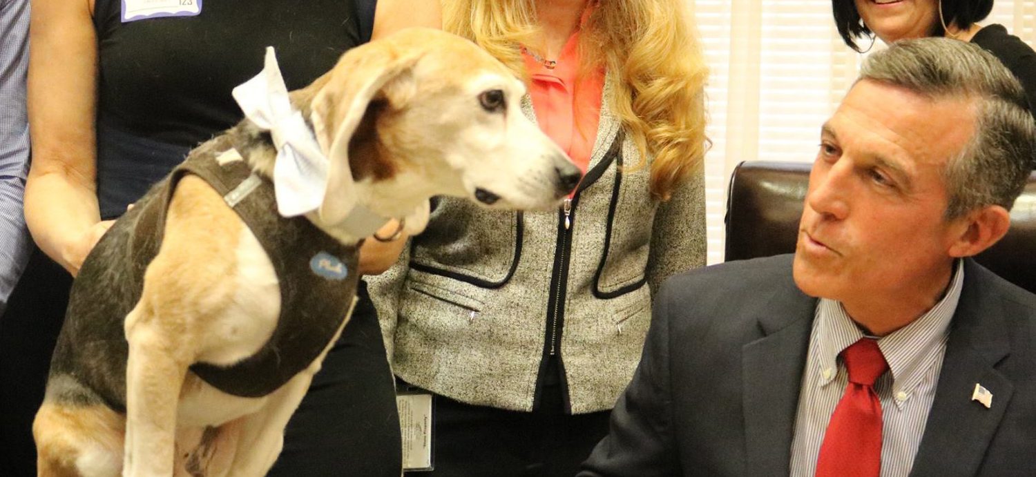 Bills That Will Enable Former Lab Animals to Be Adopted Into Forever Homes Pass in 2 States!