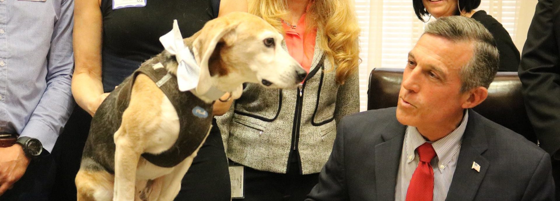 Bills That Will Enable Former Lab Animals to Be Adopted Into Forever Homes Pass in 2 States!