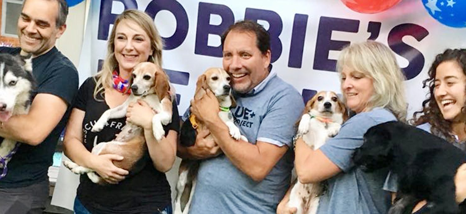 Dogs Find Forever Homes In US After Escaping Meat Trade In China