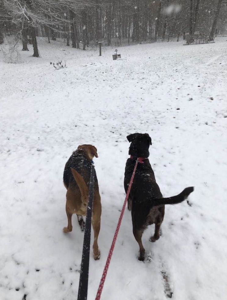 Billy and Sibling going for a walk on the snow