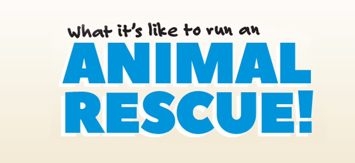 What it's like to run an animal rescue!