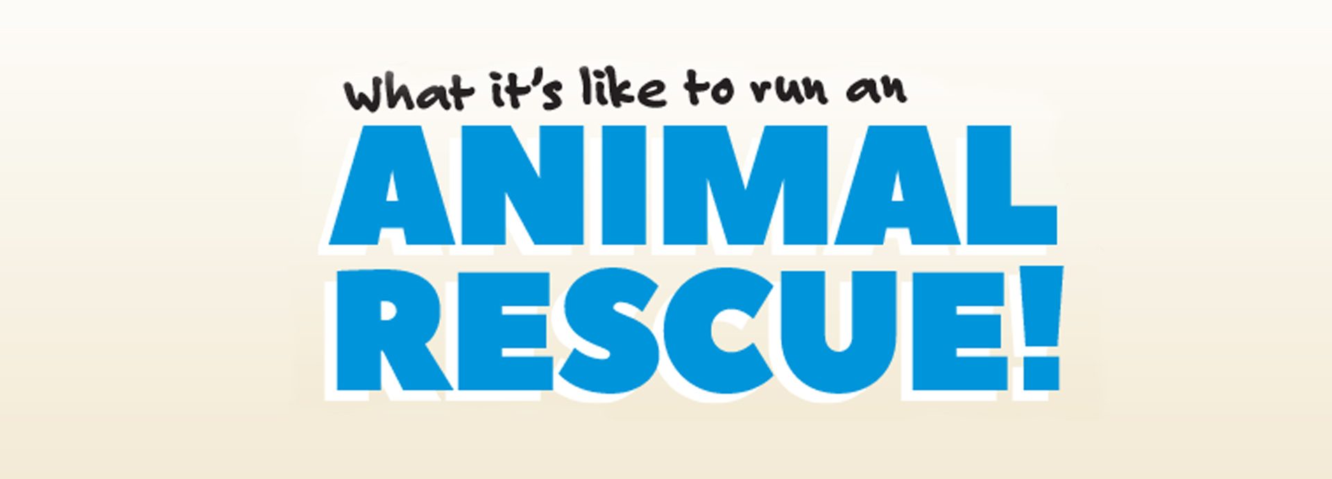 What it's like to run an animal rescue!