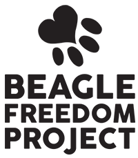 Beagle Freedom Project