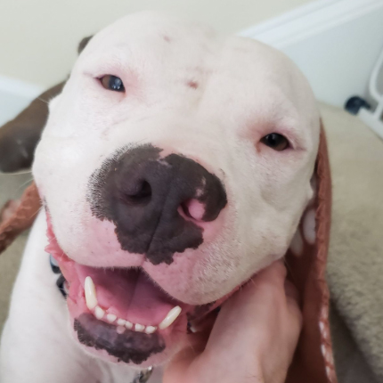 Winston smiling