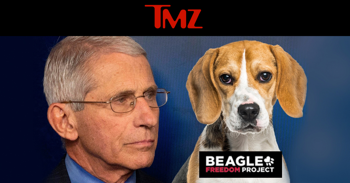 is beagle freedom project legit? 2