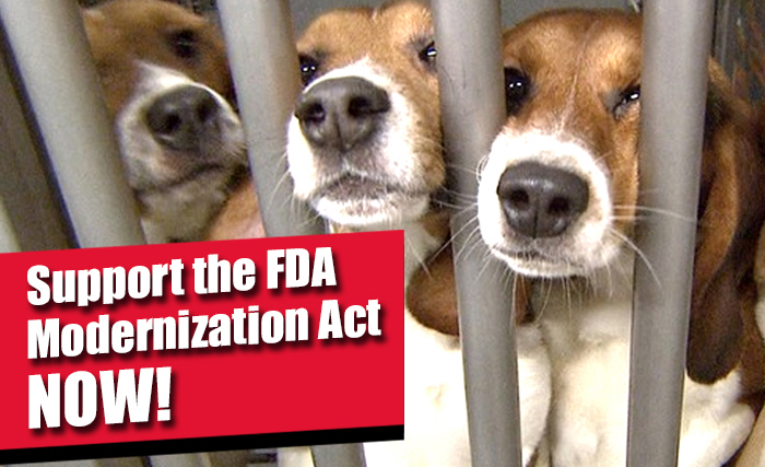 FDA Modernization Act