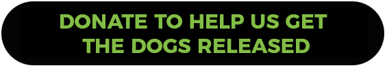 DONATE TO HELP US GET THE DOGS RELEASED