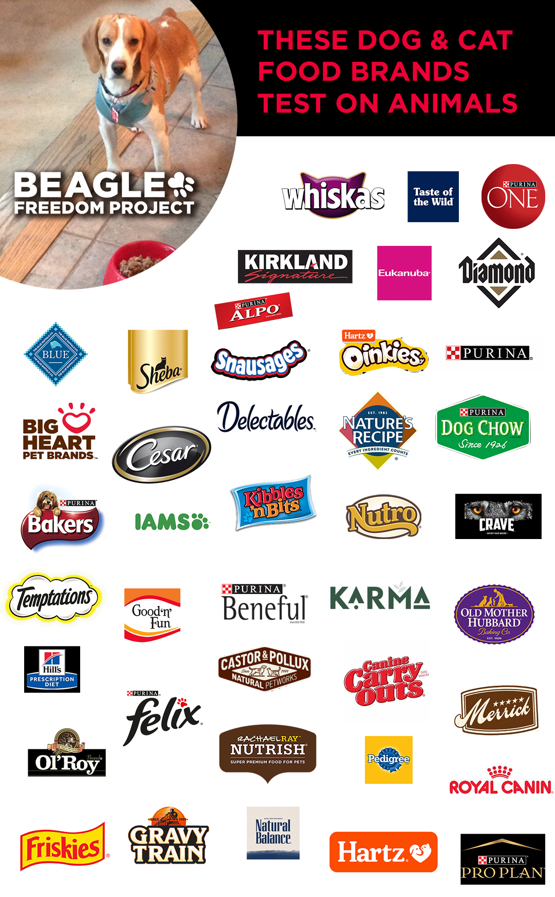 Largest pet shop food brands