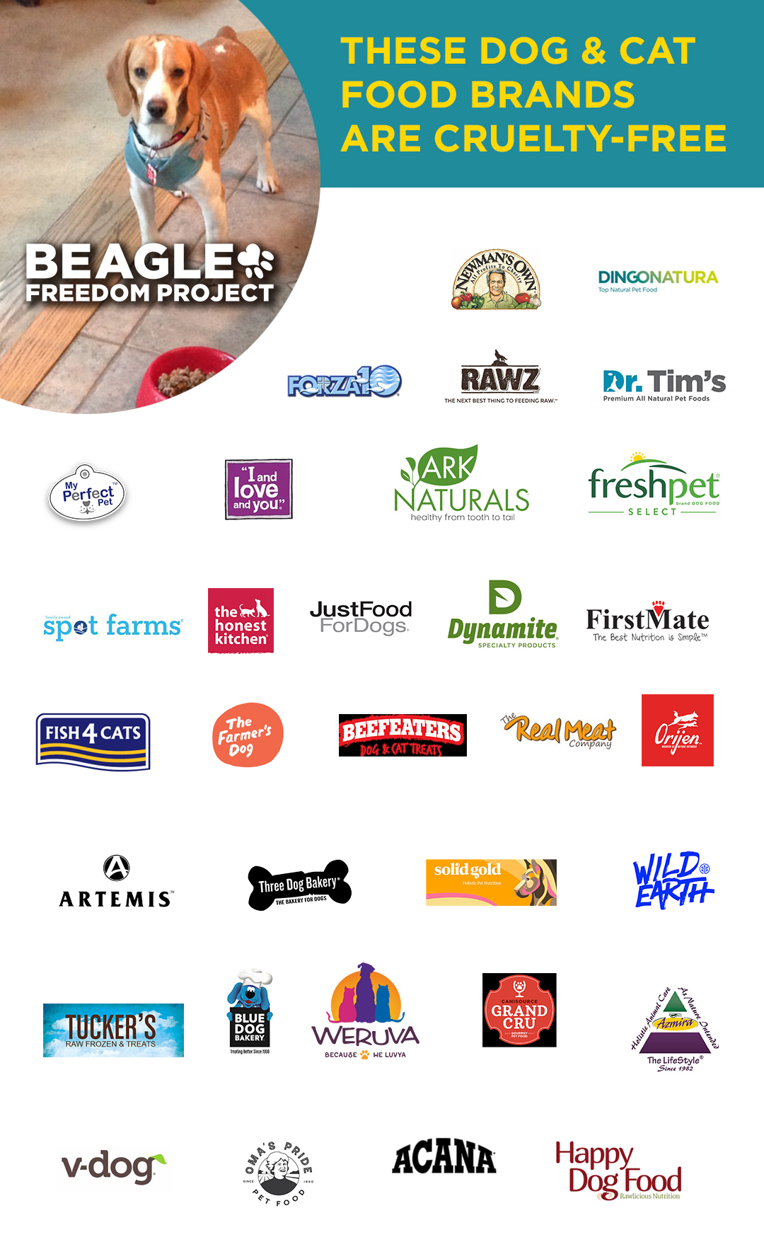 The ugly truth about dog food testing Beagle Freedom Project