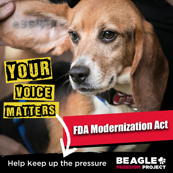 FDA Modernization Act
