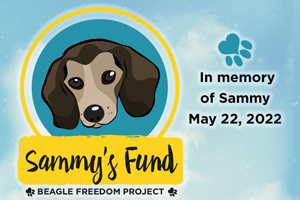 Sammy’s Fund