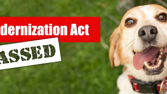 Congress Approves Landmark Measure to Reduce Animal Testing