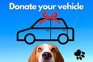 Donate your vehicle
