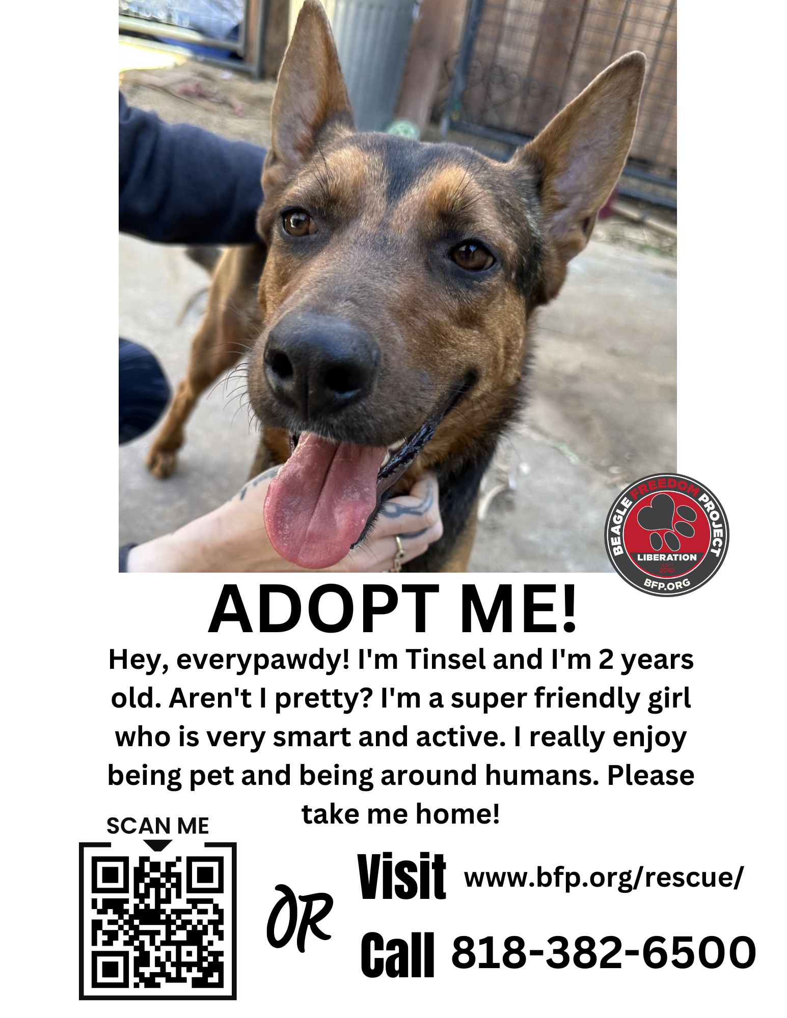 Contact Us - Adopt Me!