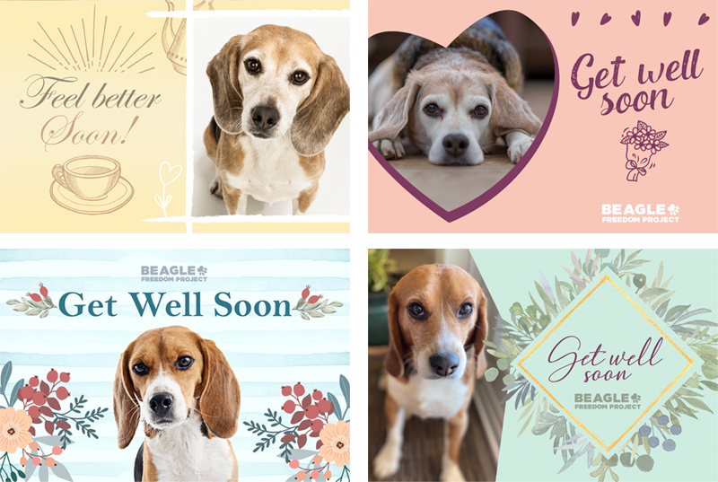 BFP Cards - Get Well