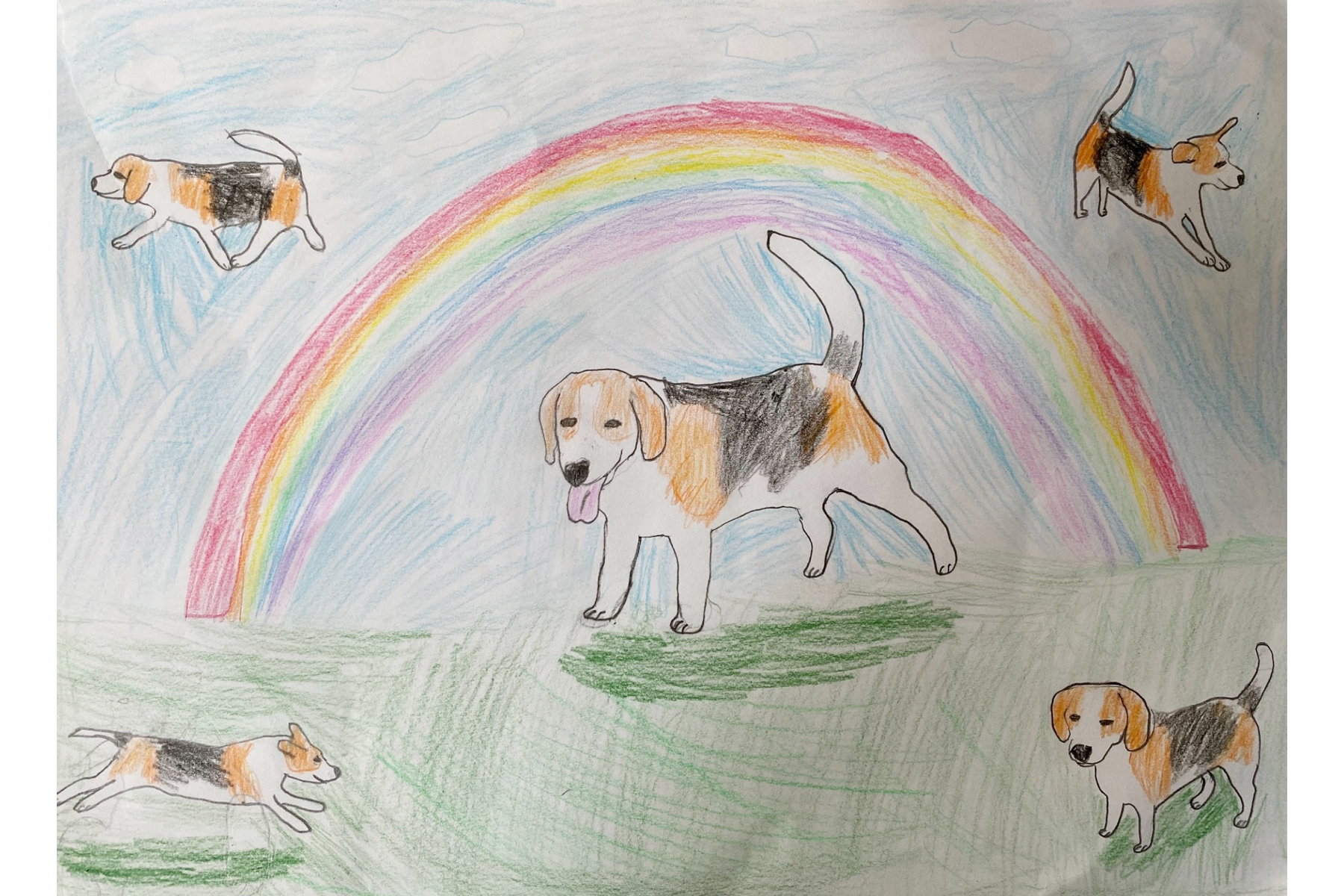 BFP Kid (Sophie, 9 year-old from England)