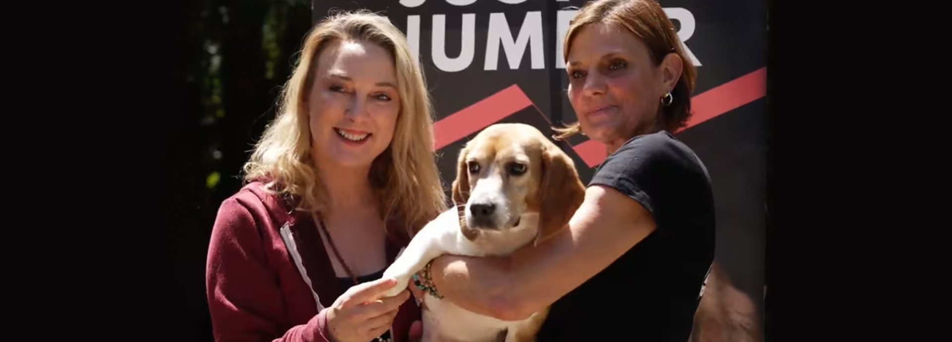 Beagle Freedom Project is rescuing research dogs in Florida. How you can help