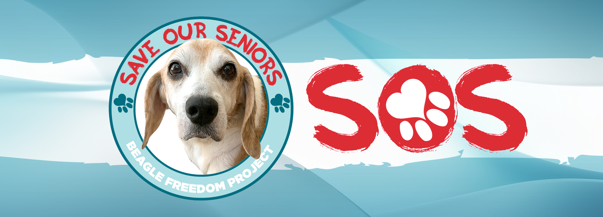 Save Our Seniors!