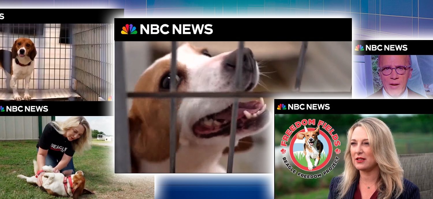 BFP’s Freedom Fields featured on NBC Nightly