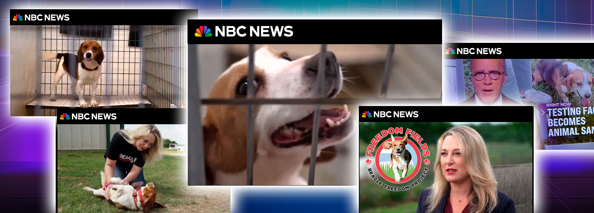 BFP’s Freedom Fields featured on NBC Nightly