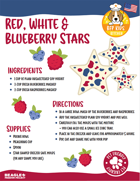 Kid Kitchen Blueberry Stars