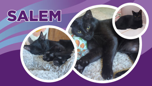 Salem's Story