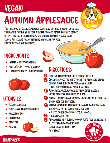 Kids Kitchen: Apple Sauce