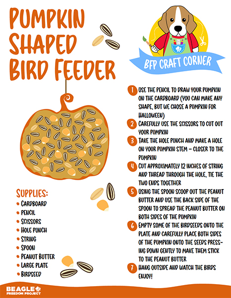 Craft Corner - Pumpkin Shaped Bird Feeder