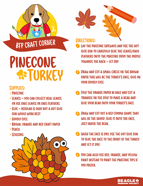 Craft Corner - Pinecone Turkey