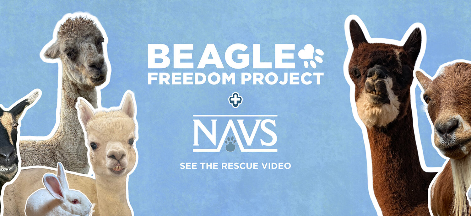 Seven Lives SAVED by BFP and NAVS!