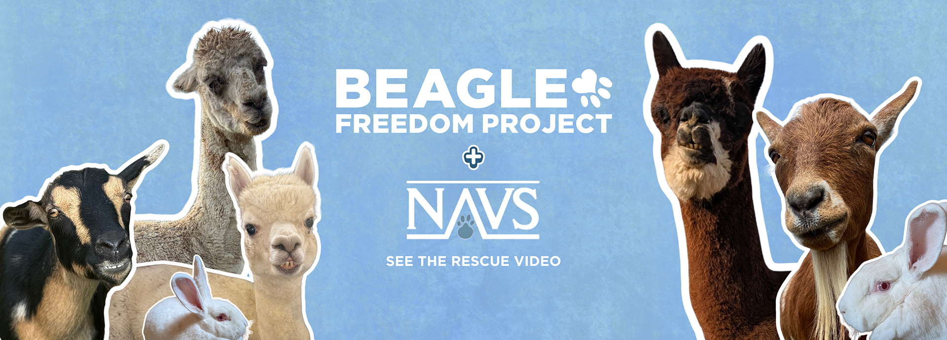 Seven Lives SAVED by BFP and NAVS!