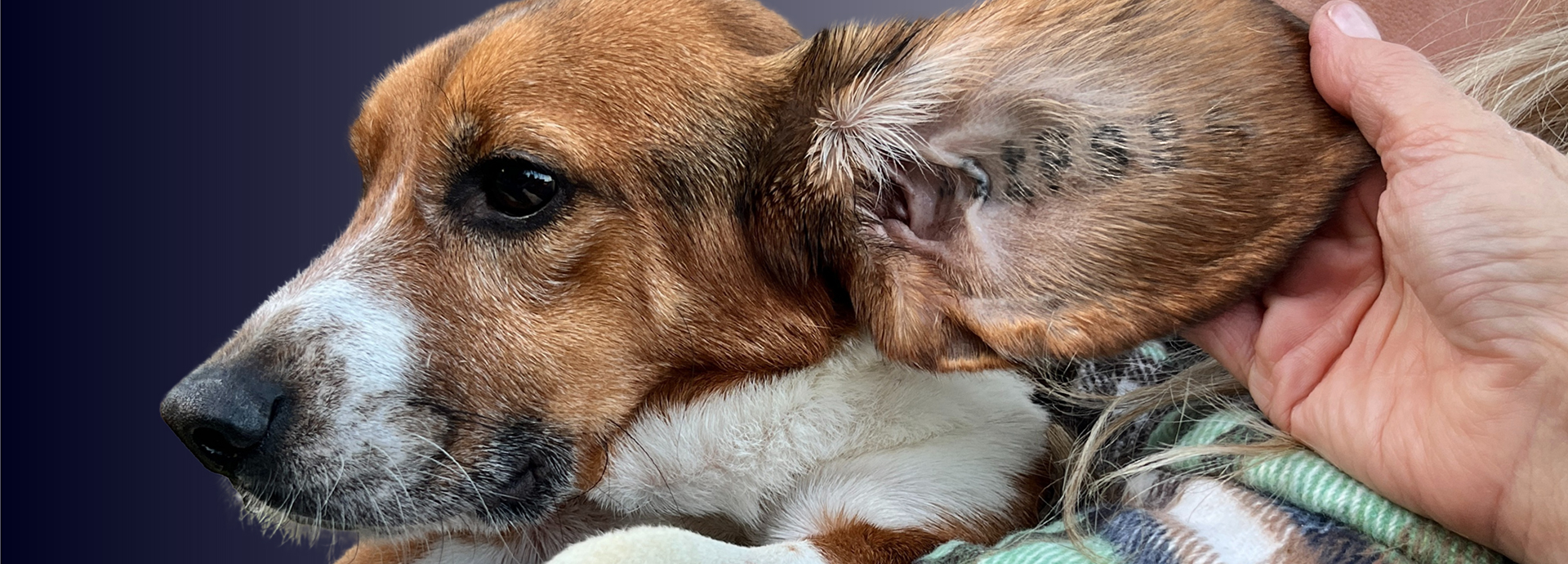 A New Chapter Begins for Survivors of Toxicology Testing