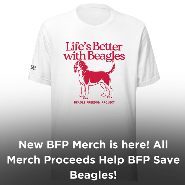 New BFP merch is here!