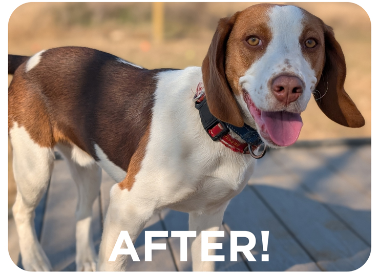 MO, one of nine survivors rescued