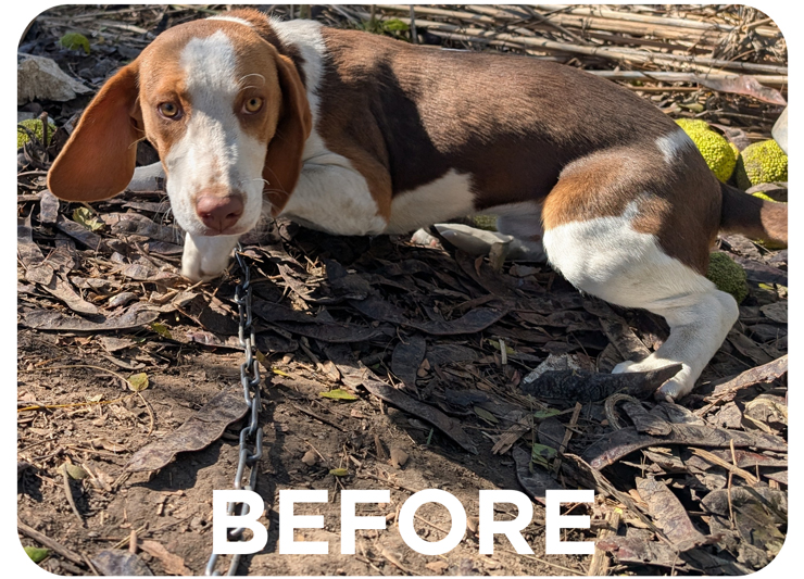 MO, one of nine survivors rescued