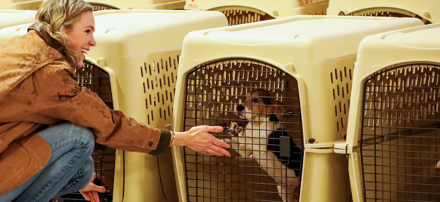 Watch: BLACK SABBATH's GEEZER BUTLER Joins Push To Rehome Beagles From Ridglan Farms In Wisconsin