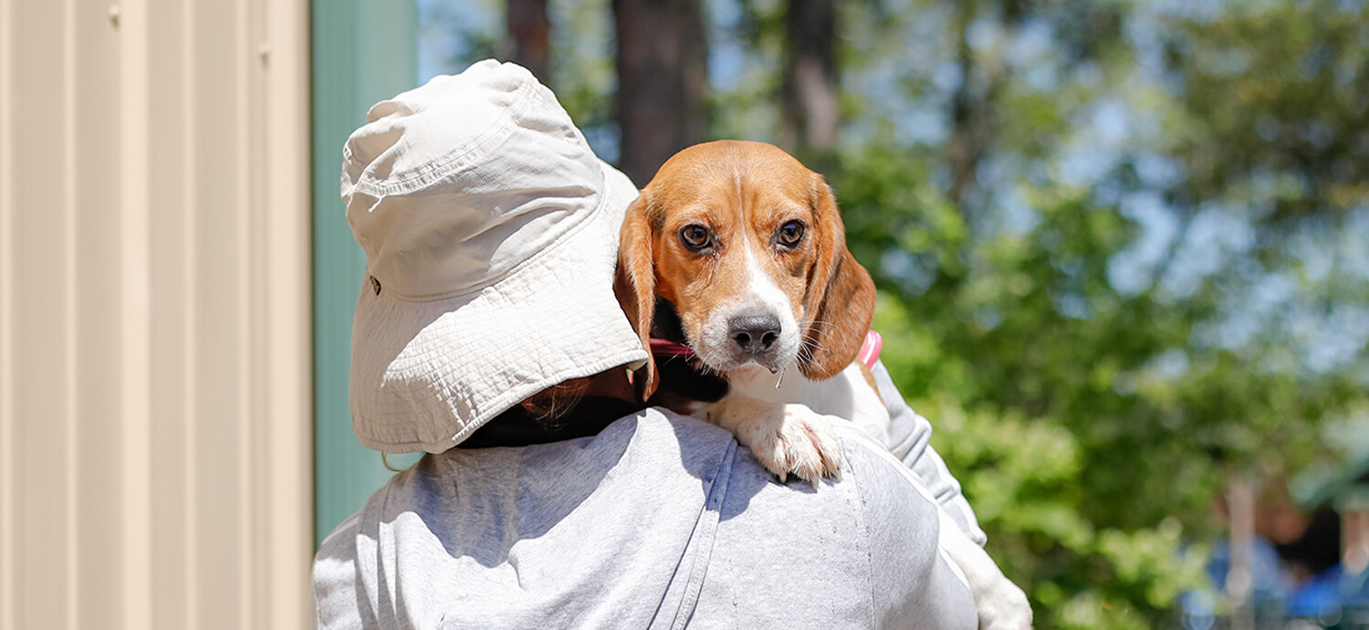 Black Sabbath star Geezer Butler helps rescue 1,500 beagles from breeding farm