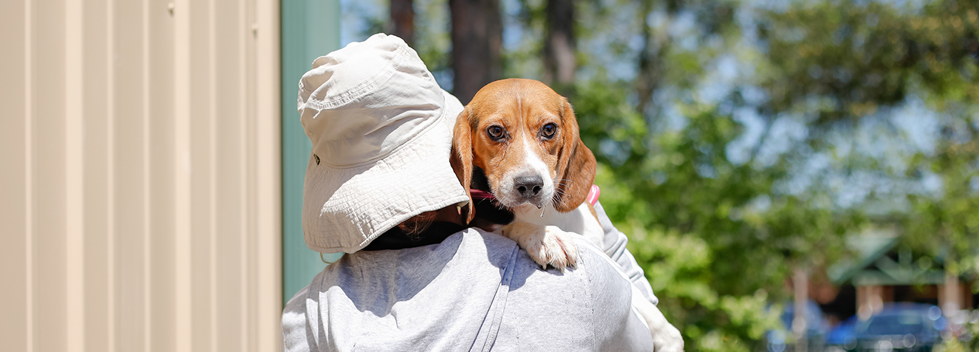 Black Sabbath star Geezer Butler helps rescue 1,500 beagles from breeding farm