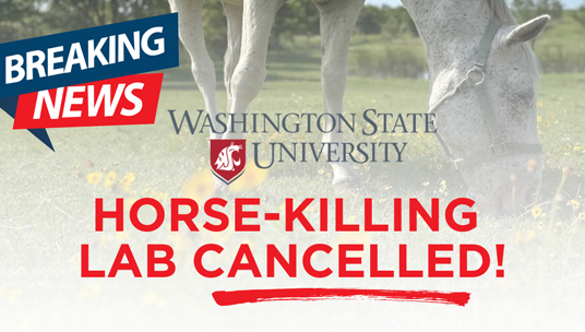 WSU cancels horse-killing lab!