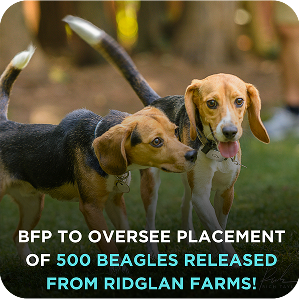Ridglan Farms Release!