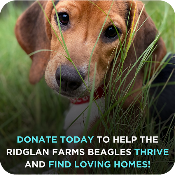 Ridglan Farms Release: Donate Today!