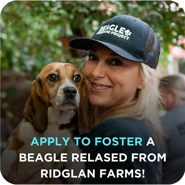 Ridglan Farms Release: Apply to Foster