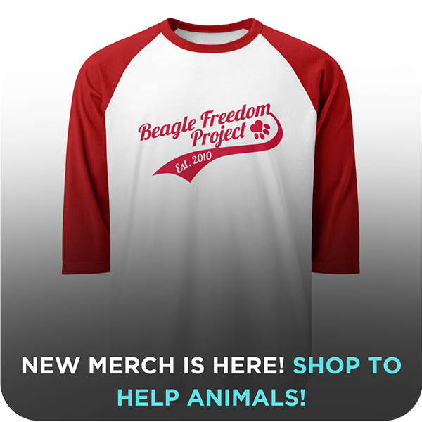 BFP Merch!