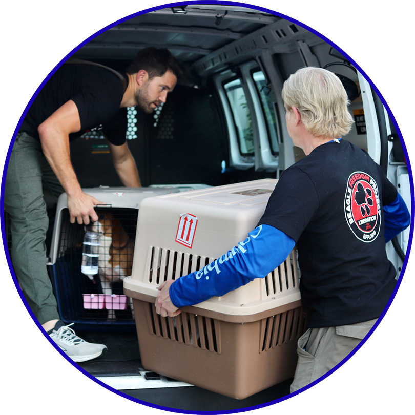 Ridglan Rescue: Volunteer