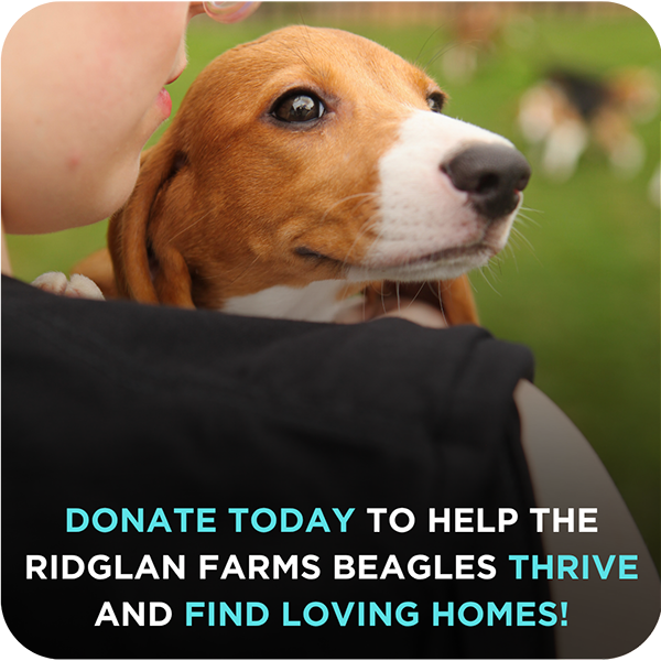 Ridglan Farms Release: Donate Today!