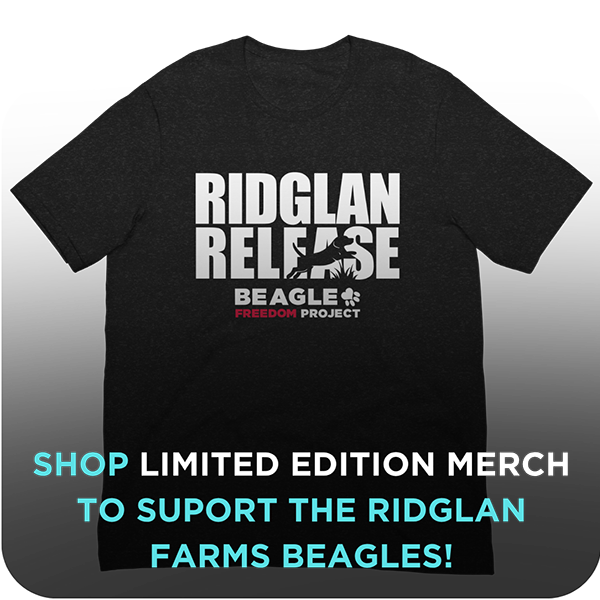 Ridglan Release Merch